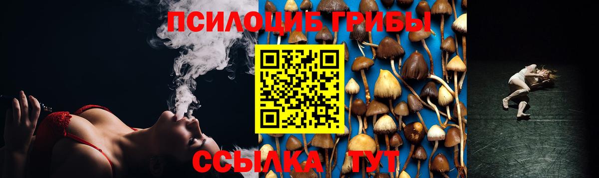 Галлюциногенные грибы Cubensis Калуга
